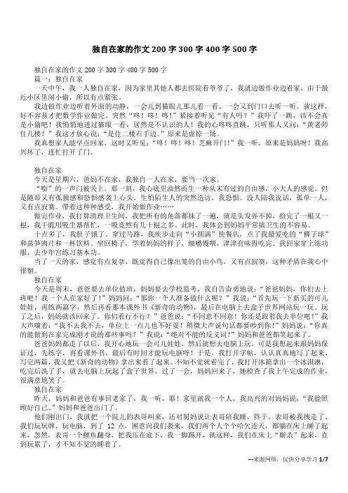 独自在家的作文200字300字400字500字