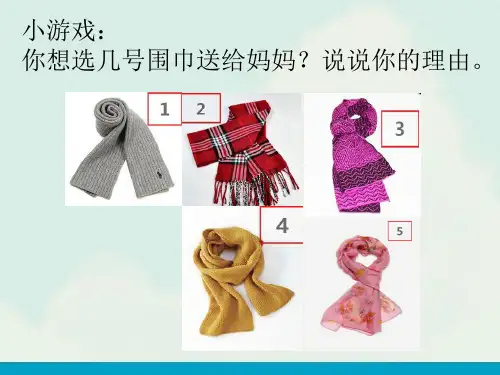 《美丽的纹样》精品课件