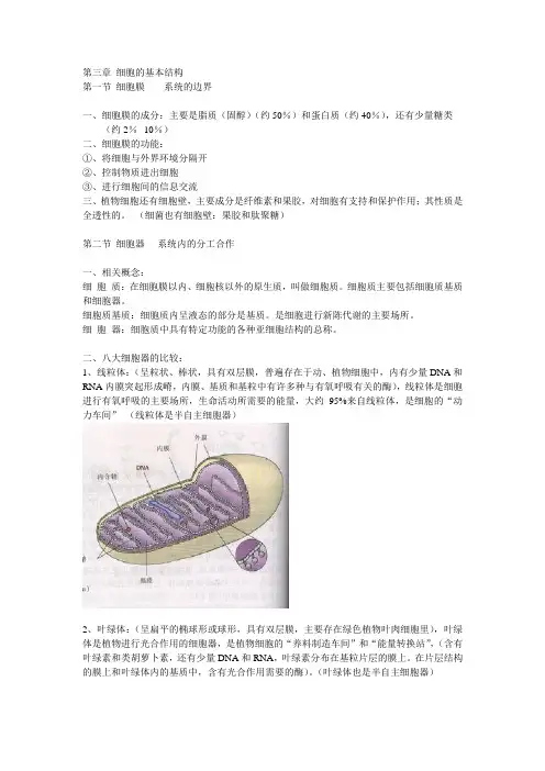 高中生物必修一(第三章)