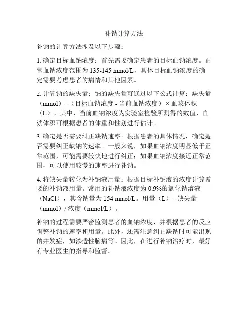 补钠计算方法
