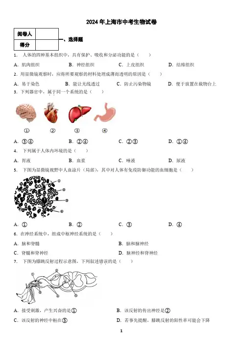 2024年上海市中考生物试卷(含答案)