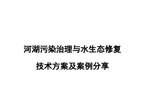 河湖污染治理与水生态修复技术方案及案例分享