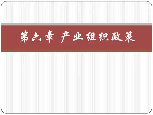 产业组织政策概述(PPT 41页)