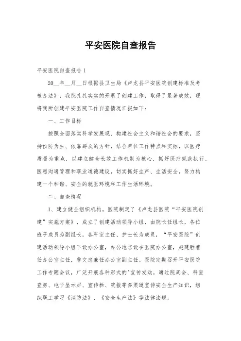 平安医院自查报告