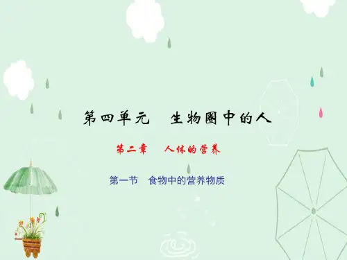 人体的营养ppt6(3份) 人教版