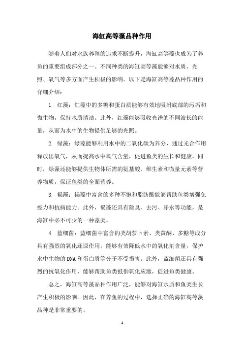 海缸高等藻品种作用