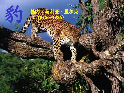 《豹》里尔克ppt