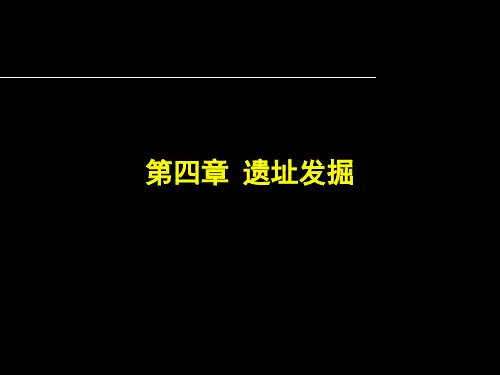 考古遗址发掘-辨土与发掘1