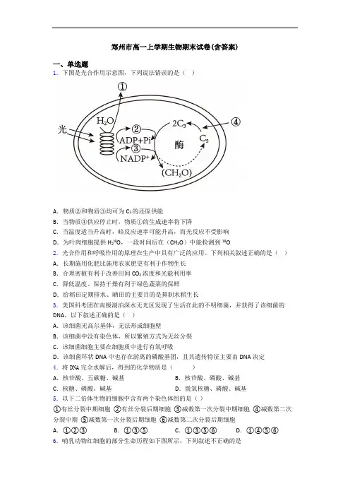 郑州市高一上学期生物期末试卷(含答案)