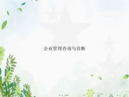 企业管理咨询与诊断讲课文档