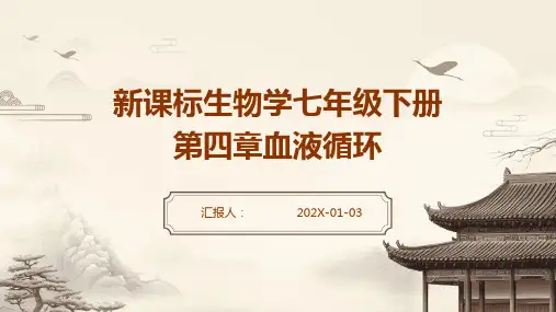 新课标生物学七年级下册第四章血液循环