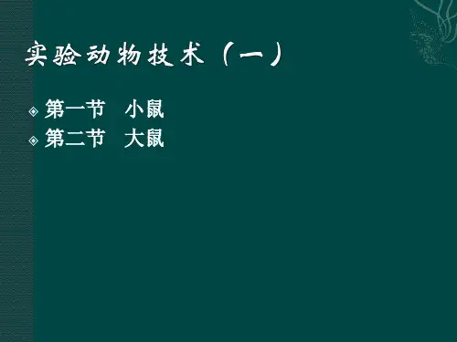 实验技术-小鼠及大鼠.
