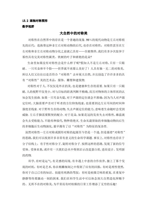 八年级数学上册第13章大自然中的对称美(人教版)