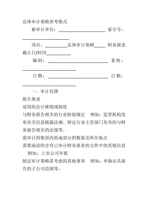 总体审计策略
