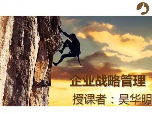 企业战略管理 (1)