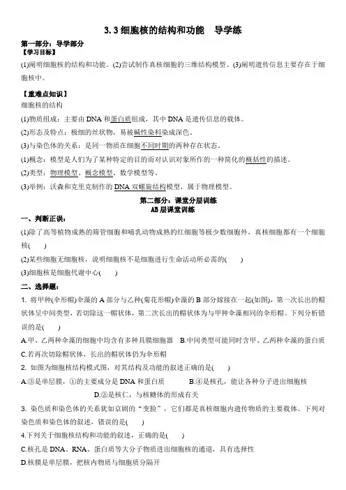 3.3细胞核的结构和功能导学案高一上学期生物人教版必修1(1)