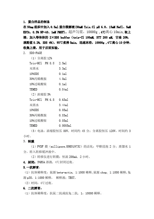 western实验步骤