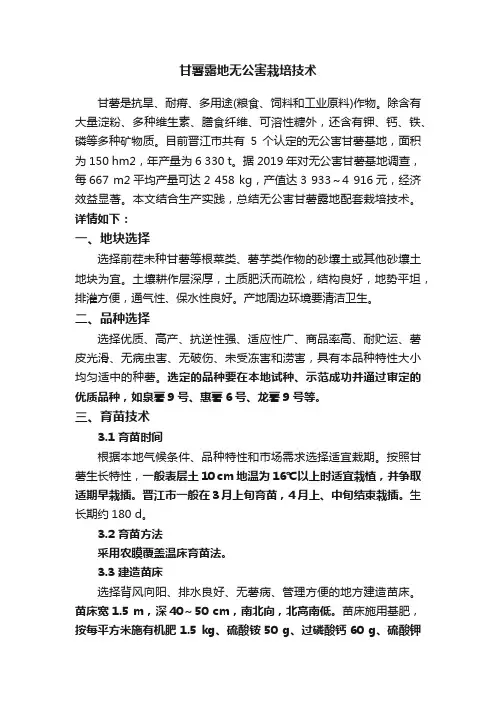 甘薯露地无公害栽培技术