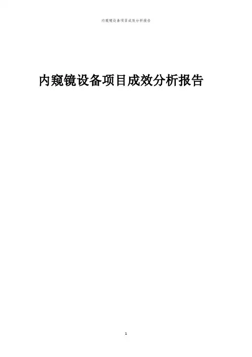 2023年内窥镜设备项目成效分析报告