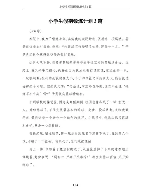 小学生假期锻炼计划3篇