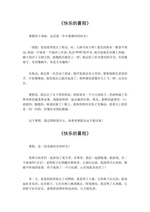 快乐的暑假450字左右