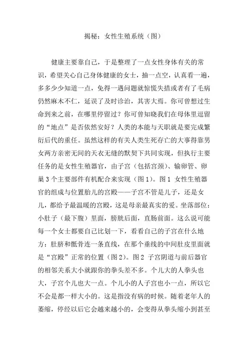 揭秘：女性生殖系统(图)
