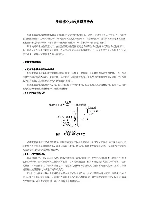 生物流化床的类型及特点