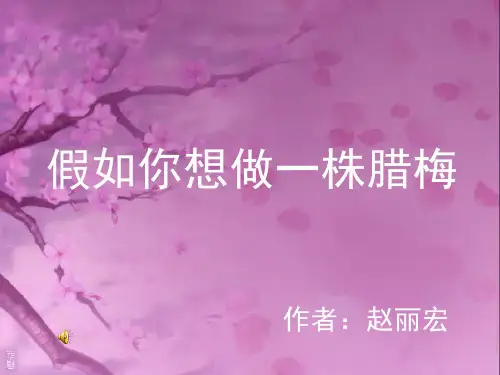 假如你想做一株腊梅课件