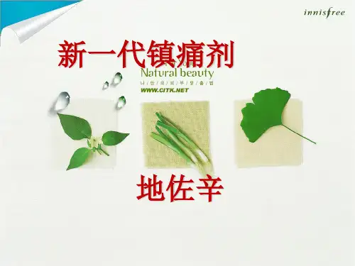 地佐辛PPT文稿