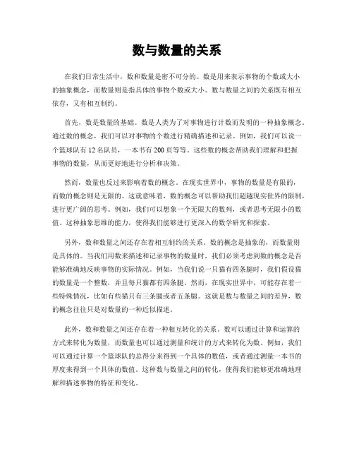 数与数量的关系