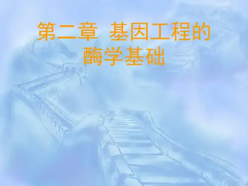 工学基因工程第2章酶学基础2DNA连接酶