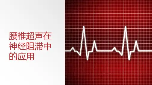 腰椎超声在神经阻滞中的应用