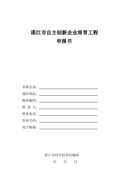 广州创新型企业申报书