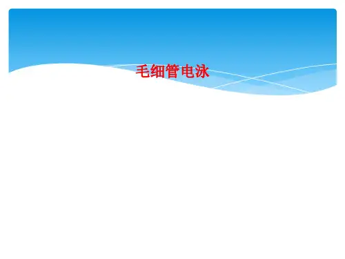 毛细管电泳