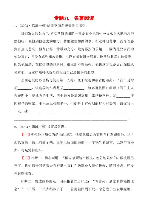 中考语文专题复习 专题九 名著阅读(含答案)