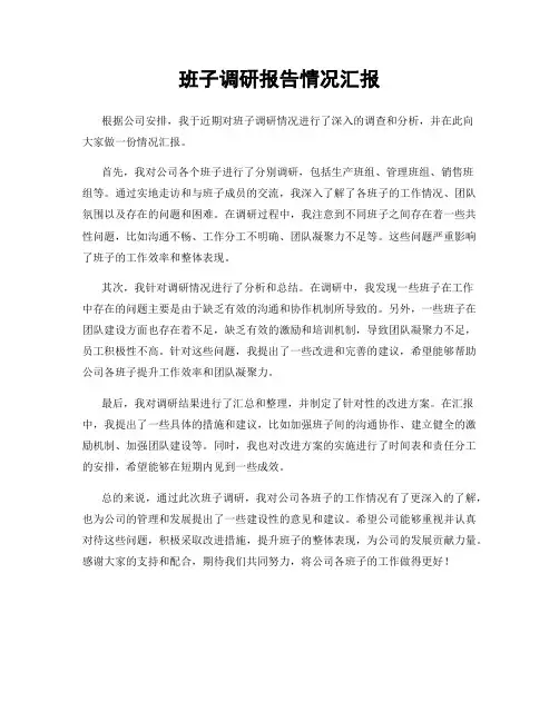 班子调研报告情况汇报