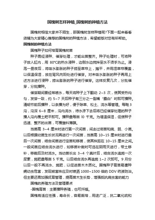 国槐树怎样种植_国槐树的种植方法