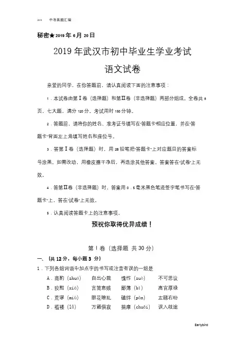 2019中考真题-059—2019年湖北武汉中考语文试卷