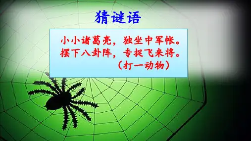 (部编版)小学语文二级下册《蜘蛛开店》PPT上课课件