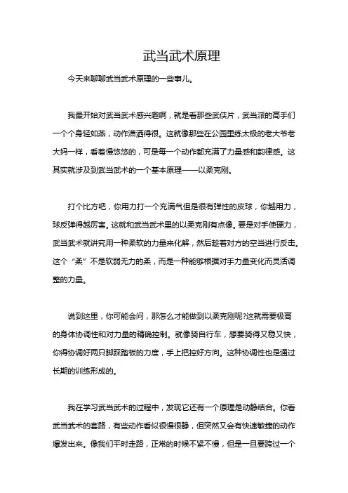 武当武术原理