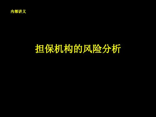 担保公司的风险分析