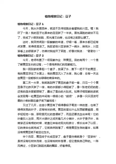 植物观察日记：豆子