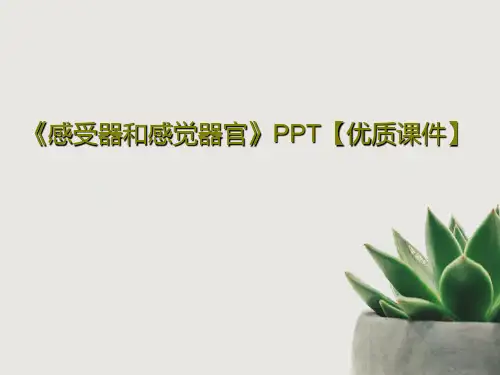 《感受器和感觉器官》PPT【优质课件】共26页文档