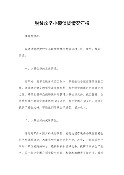 脱贫攻坚小额信贷情况汇报