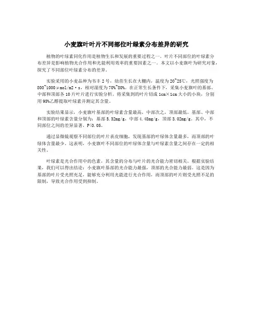 小麦旗叶叶片不同部位叶绿素分布差异的研究