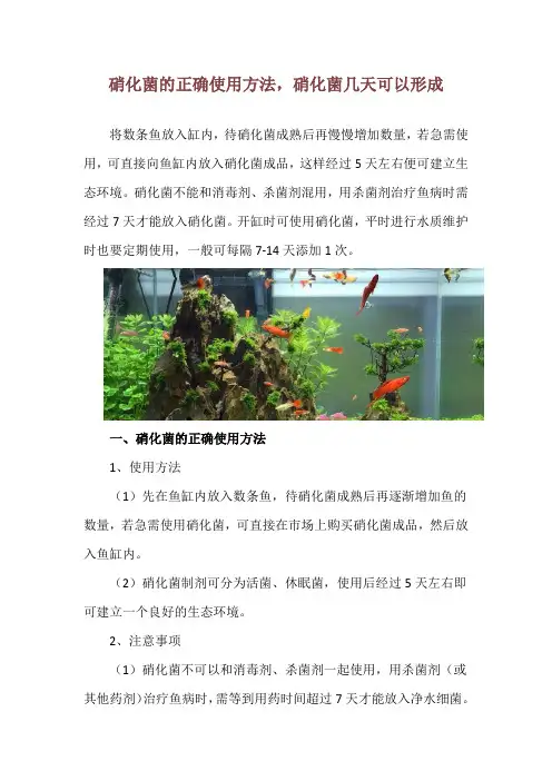 硝化菌的正确使用方法,硝化菌几天可以形成
