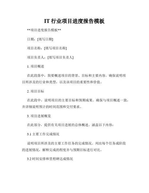 IT行业项目进度报告模板