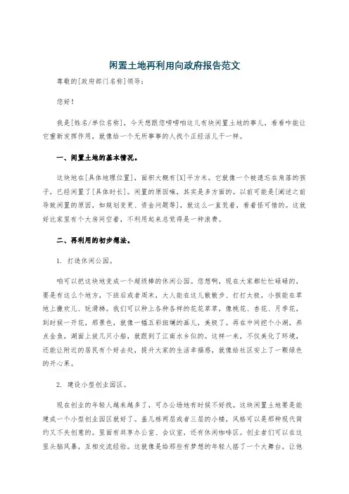 闲置土地再利用向政府报告范文