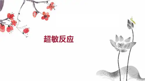 超敏反应    