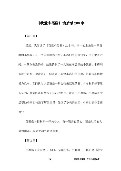 《我爱小黑猫》读后感200字
